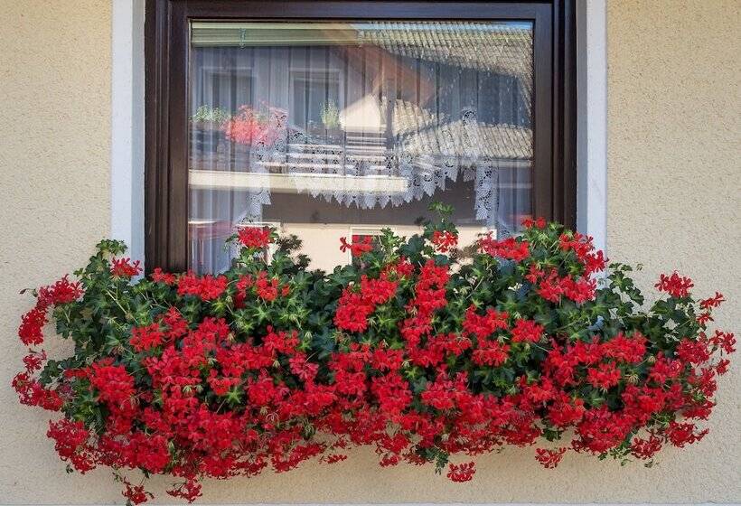 تختخواب و صبحانه Rooms & Apartments Kepic, Airport Accomodation