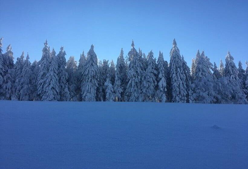 Horský Hotel Hájenka