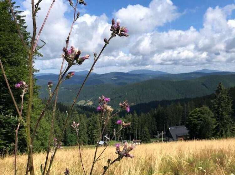 Horský Hotel Hájenka