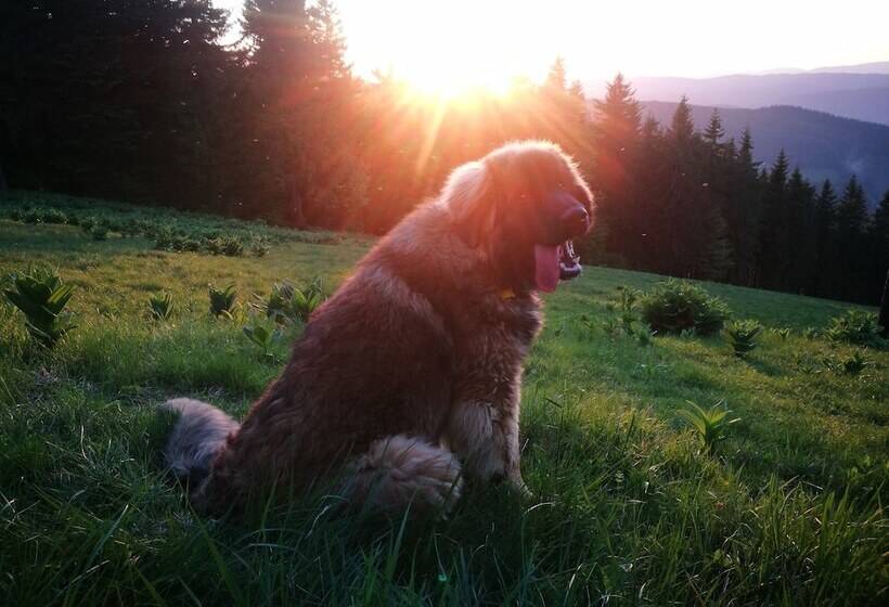 Horský Hotel Hájenka