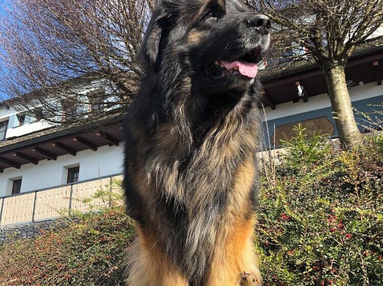 Horský Hotel Hájenka