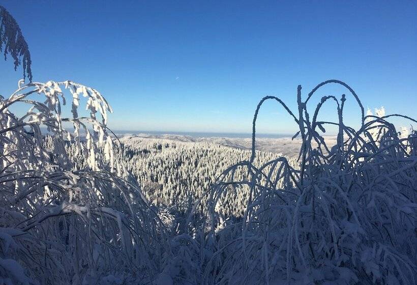 Horský Hotel Hájenka