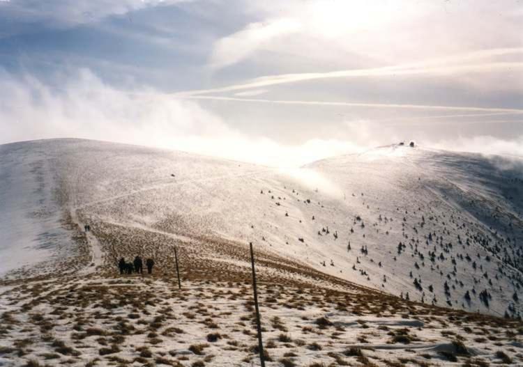 Отель B&b Sant Bernard