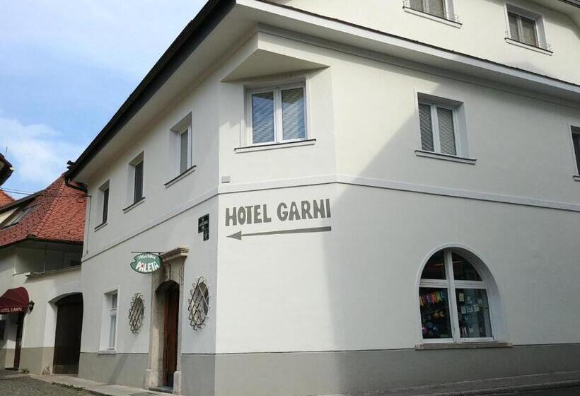 هتل Garni Paleta