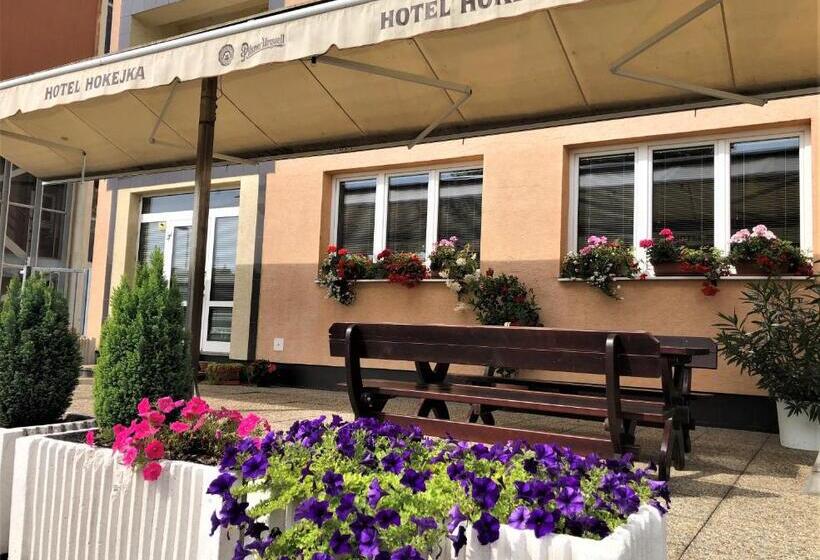 فندق Hokejka