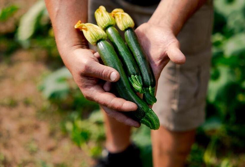 هتل Hvala Superior   Topli Val