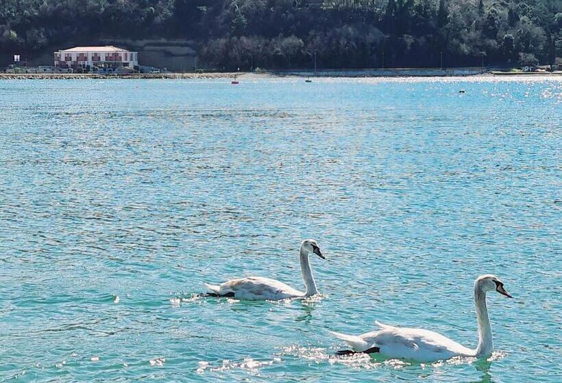 هتل Lavender Oleander Resort