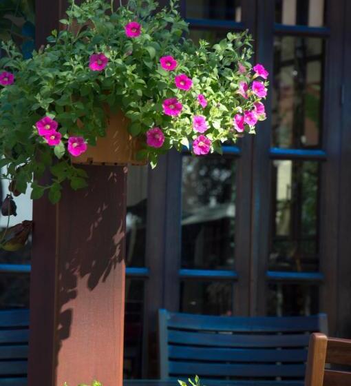 ホテル Le Bouton Dor Boutique