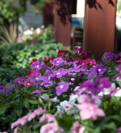 ホテル Le Bouton Dor Boutique