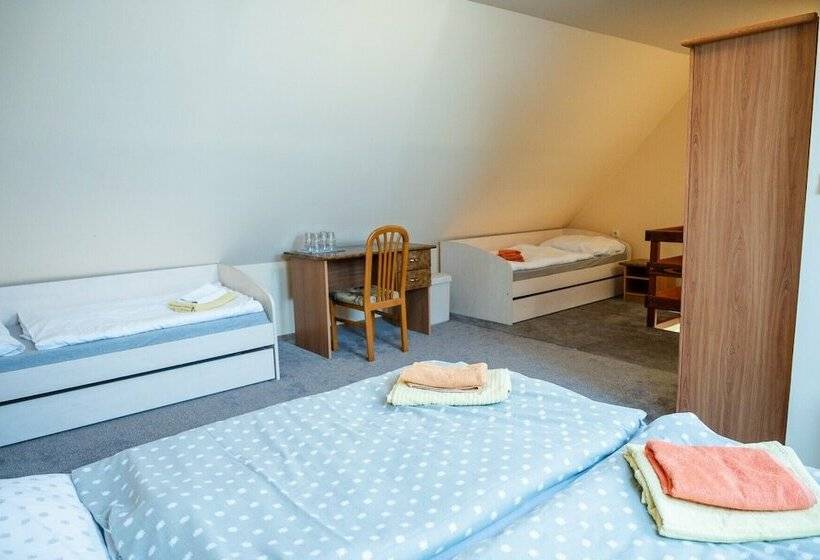 Отель Penzión Zefir Bojnice