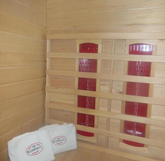 هتل Pri Belokranjcu