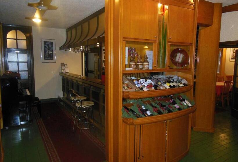 هتل Pri Belokranjcu