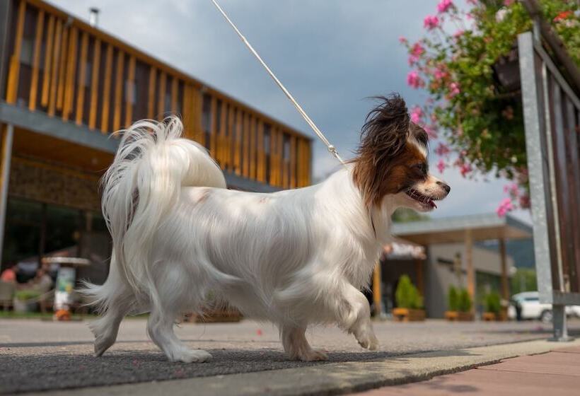 ホテル Salamandra