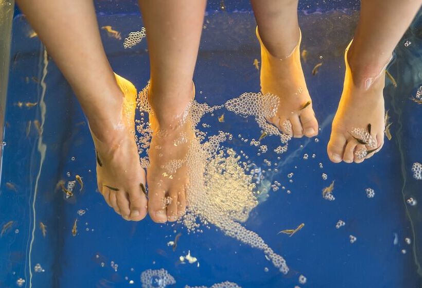 ホテル Salamandra