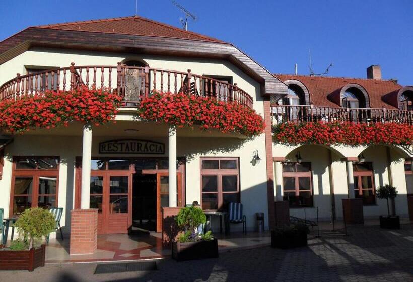 בית מלון כפרי St.florian Sturovo