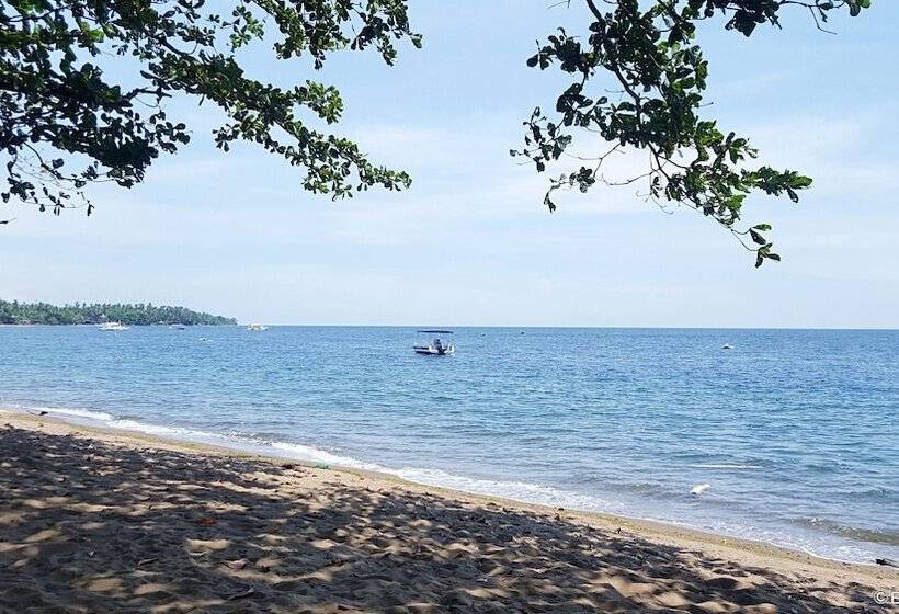 Mike's Dauin Dive Resort