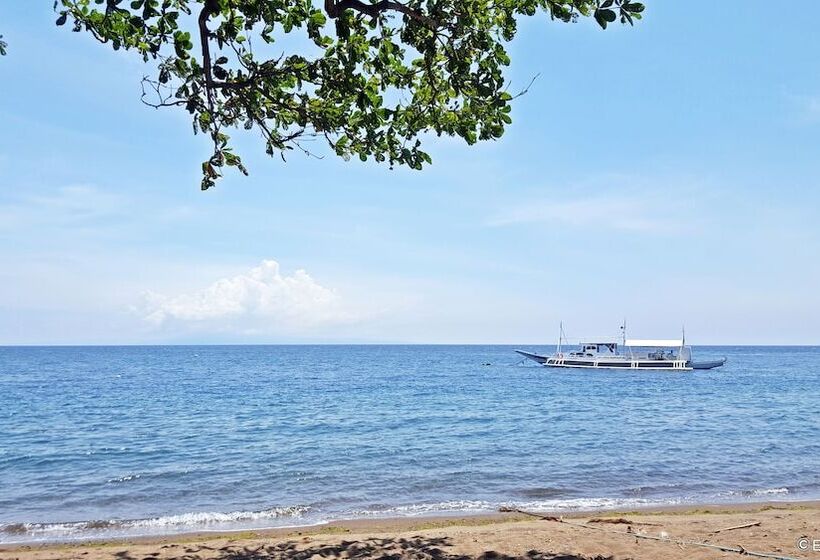 Mike's Dauin Dive Resort