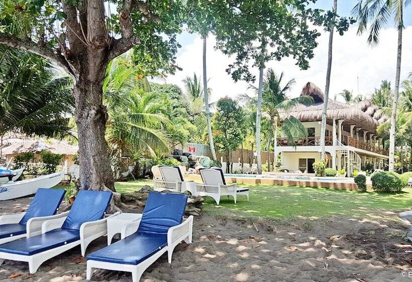 Mike's Dauin Dive Resort