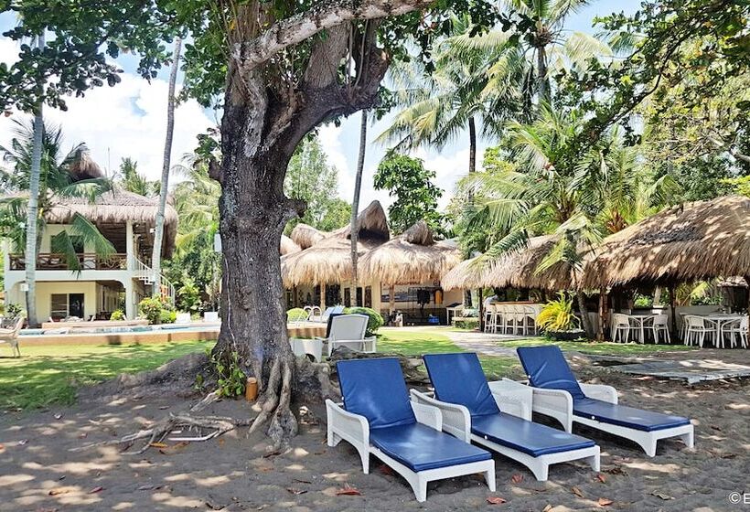 Mike's Dauin Dive Resort