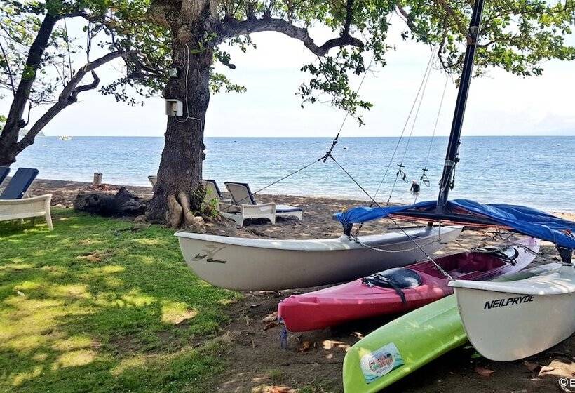 Mike's Dauin Dive Resort