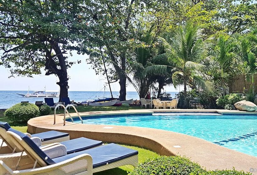 Mike's Dauin Dive Resort