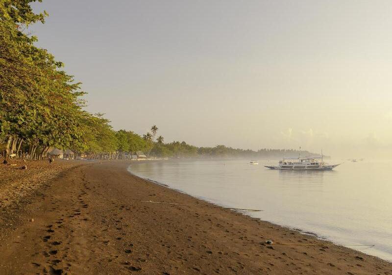 Mike's Dauin Dive Resort