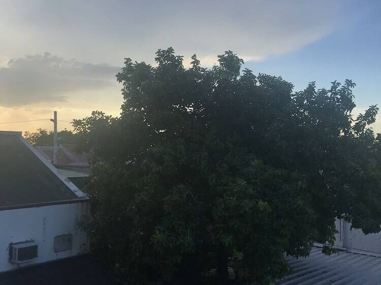 The Purple Tree Bed & Breakfast