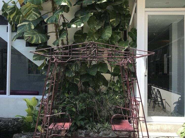 The Purple Tree Bed & Breakfast