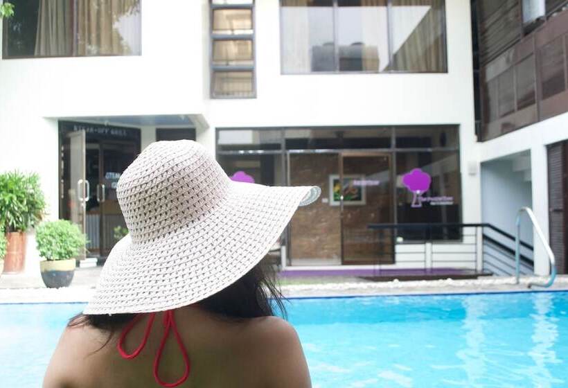 The Purple Tree Bed & Breakfast