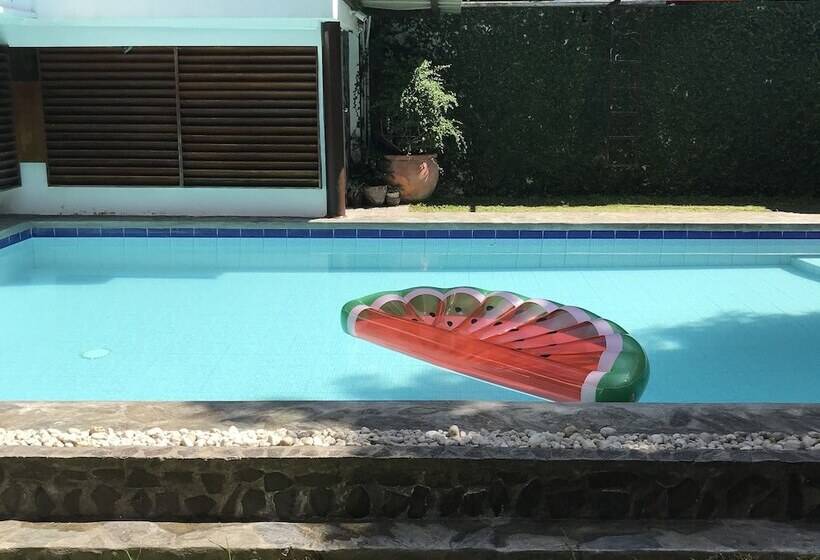 The Purple Tree Bed & Breakfast