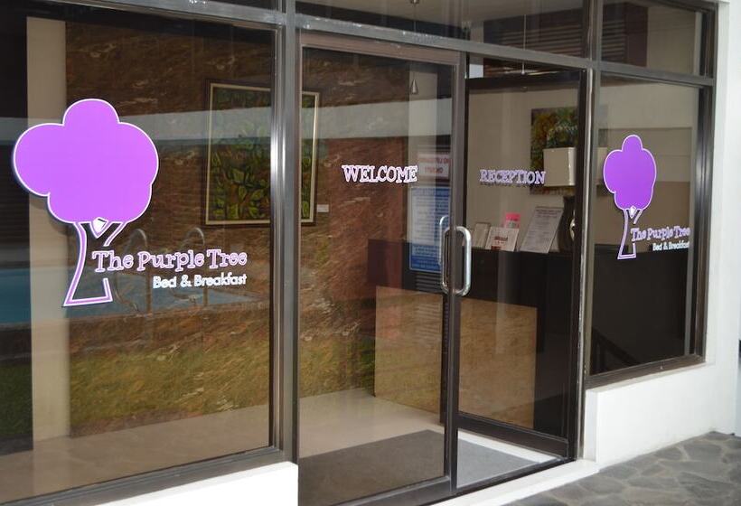 The Purple Tree Bed & Breakfast