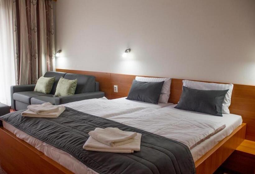 渡假胜地  Wellness Hotel Thermal