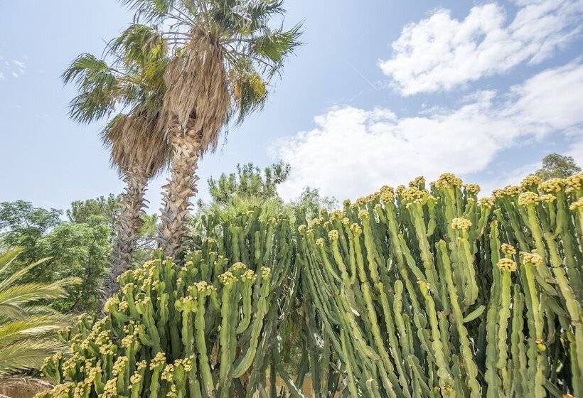 The Nix Hotel Patara Beach