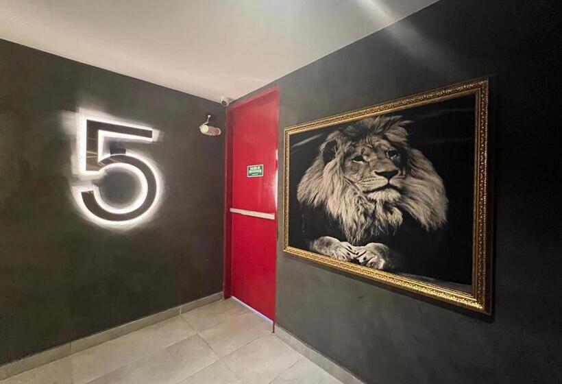 호텔 Zelva Poblado