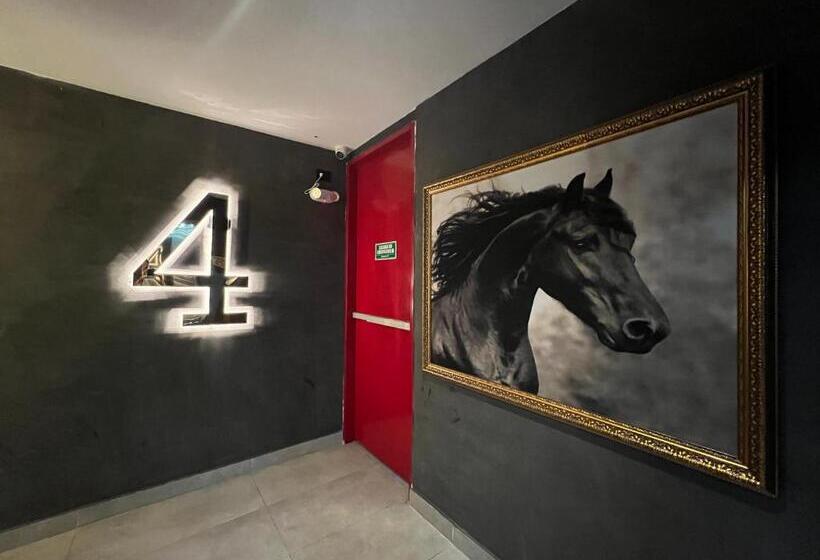 호텔 Zelva Poblado