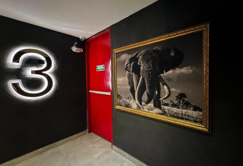 호텔 Zelva Poblado