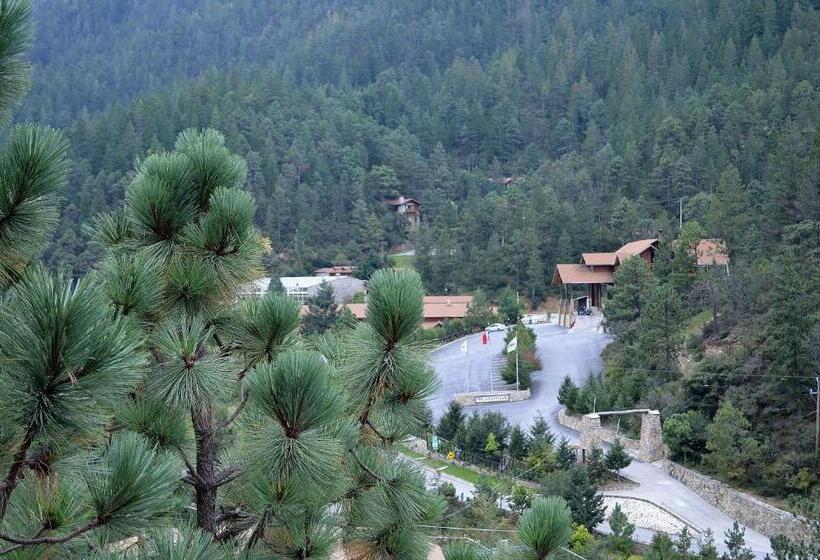 فندق Bosques De Monterreal