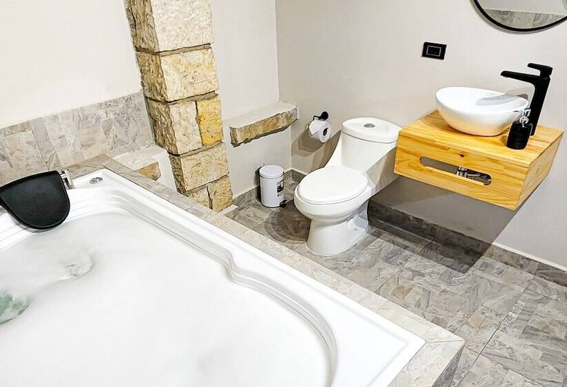 ホテル Luxury Villa In Provenza