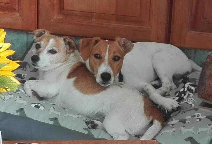 Admiralty Bed & Breakfast