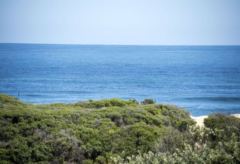 فندق صغير Afrovibe Beach Villa