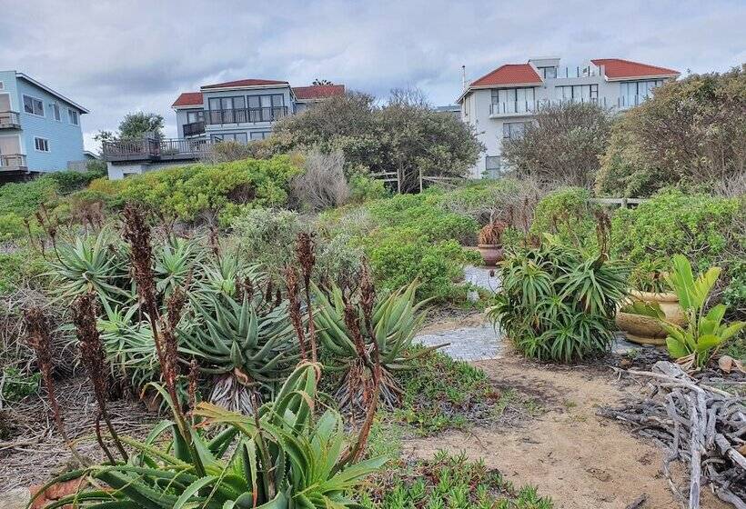 فندق صغير Afrovibe Beach Villa