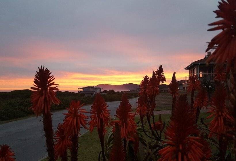 فندق صغير Afrovibe Beach Villa