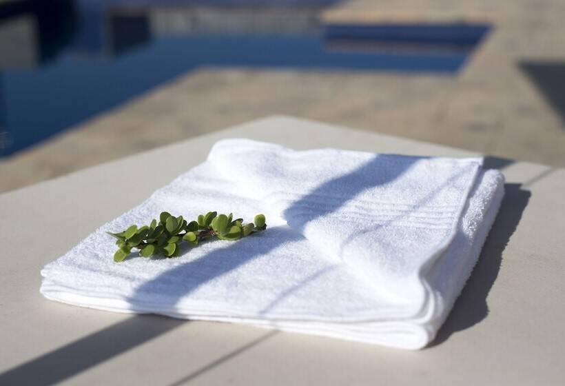 فندق صغير Afrovibe Beach Villa