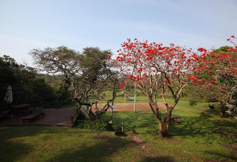 הוסטל Buccaneers Beach Lodge, Chintsa, South Africa