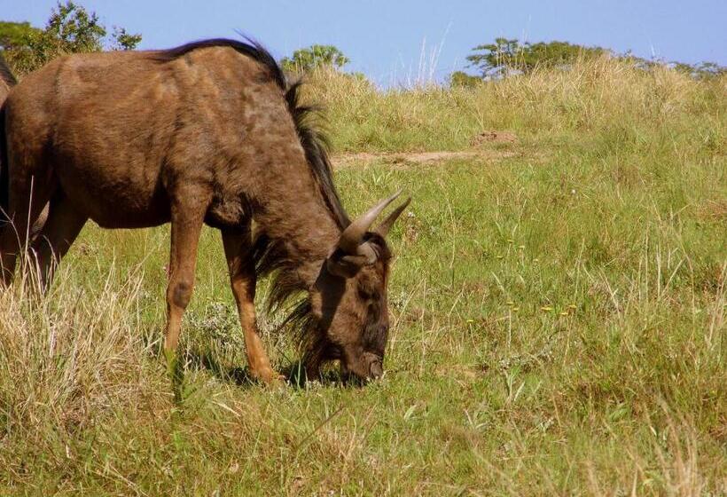 הוסטל Buccaneers Beach Lodge, Chintsa, South Africa
