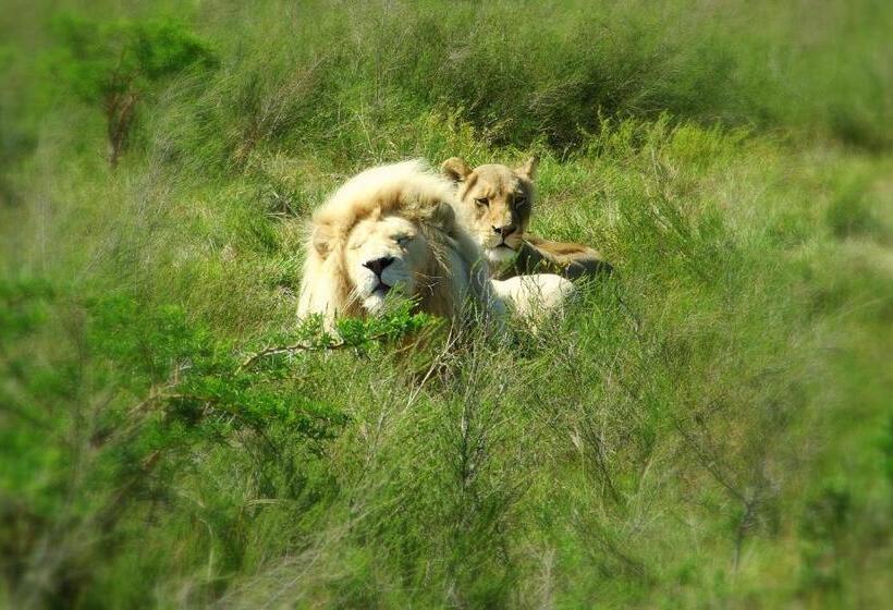 הוסטל Buccaneers Beach Lodge, Chintsa, South Africa