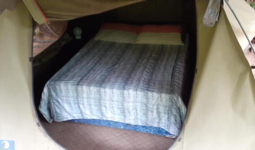 Общежитие Hazyview Adventure Backpackers