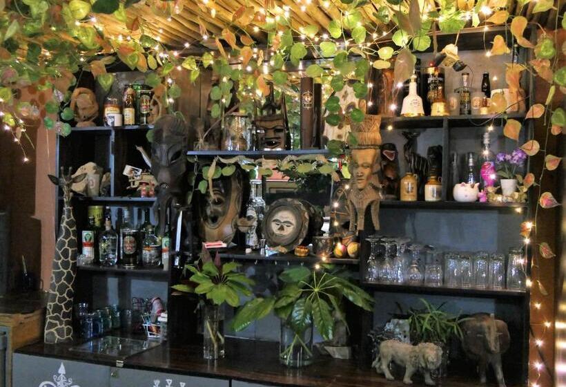 Общежитие Hazyview Adventure Backpackers