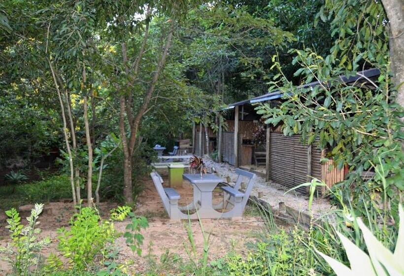 Общежитие Hazyview Adventure Backpackers