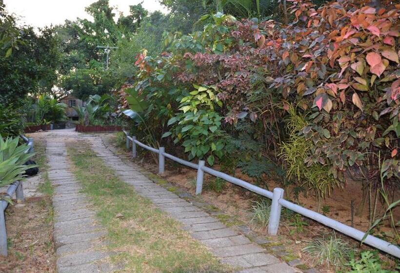 Общежитие Hazyview Adventure Backpackers